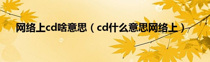 网络上cd啥意思（cd什么意思网络上）