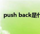 push back是什么意思（push_back函数）