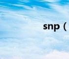 snp（说一说snp的简介）