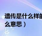 遗传是什么样的损伤风险因素（稳定遗传是什么意思）