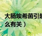 大肠埃希菌引起的感染（大肠埃希菌感染与什么有关）