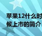 苹果12什么时候上市（说一说苹果12什么时候上市的简介）