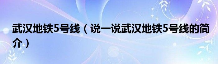 武汉地铁5号线（说一说武汉地铁5号线的简介）