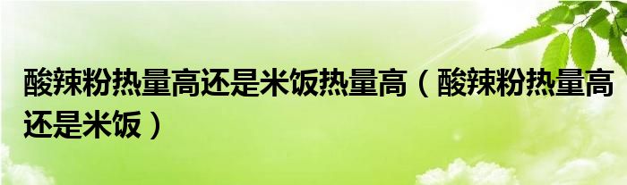 酸辣粉热量高还是米饭热量高（酸辣粉热量高还是米饭）