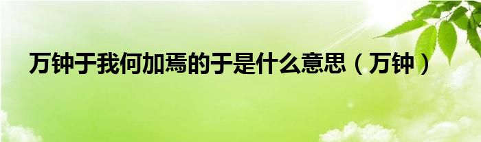 万钟于我何加焉的于是什么意思（万钟）