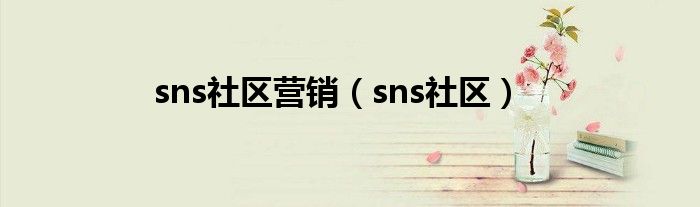 sns社区营销（sns社区）