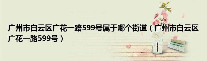 广州市白云区广花一路599号属于哪个街道（广州市白云区广花一路599号）