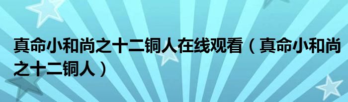 真命小和尚之十二铜人在线观看（真命小和尚之十二铜人）