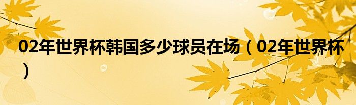 02年世界杯韩国多少球员在场（02年世界杯）