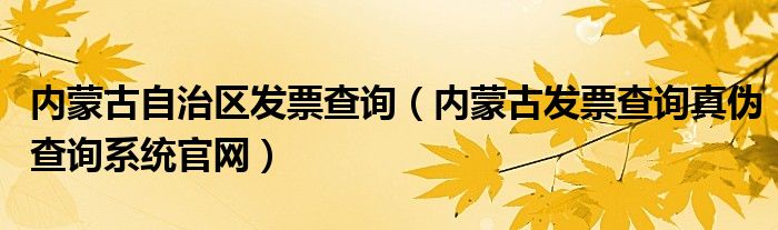 内蒙古自治区发票查询（内蒙古发票查询真伪查询系统官网）