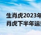 生肖虎2023年运势及运程详解每月运程（生肖虎下半年运势）