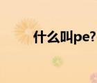 什么叫pe?（什么是PE 什么是PB）