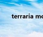 terraria mod推荐（terraria mod）