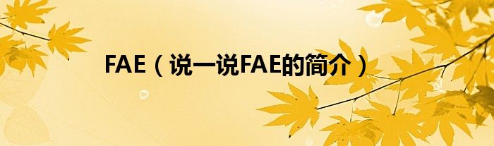 FAE（说一说FAE的简介）