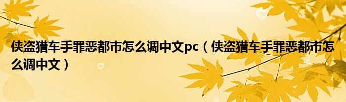 侠盗猎车手罪恶都市怎么调中文pc（侠盗猎车手罪恶都市怎么调中文）