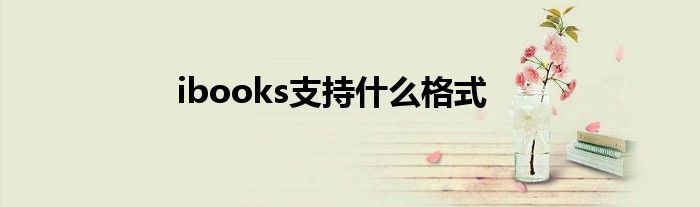 ibooks支持什么格式