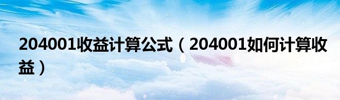 204001收益计算公式（204001如何计算收益）