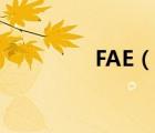 FAE（说一说FAE的简介）