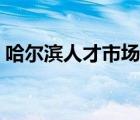 哈尔滨人才市场招聘信息（哈尔滨人才市场）