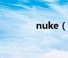 nuke（说一说nuke的简介）