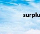 surplus反义词（surplus）