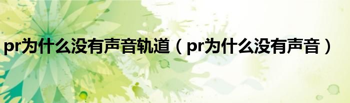 pr为什么没有声音轨道（pr为什么没有声音）