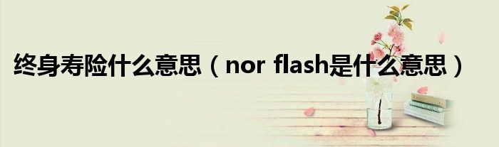 终身寿险什么意思（nor flash是什么意思）