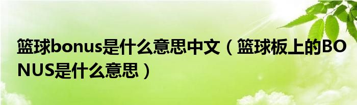 篮球bonus是什么意思中文（篮球板上的BONUS是什么意思）