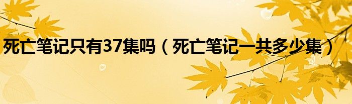 死亡笔记只有37集吗（死亡笔记一共多少集）