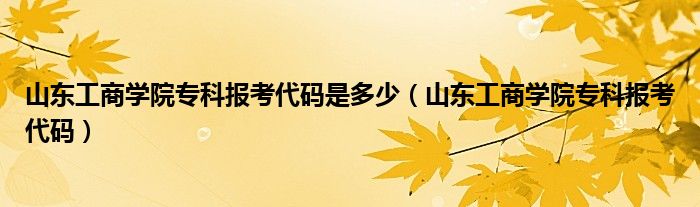 山东工商学院专科报考代码是多少（山东工商学院专科报考代码）