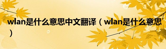 wlan是什么意思中文翻译（wlan是什么意思）