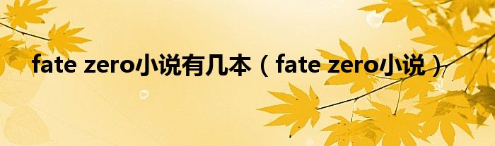 fate zero小说有几本（fate zero小说）