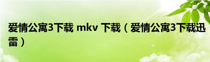 爱情公寓3下载 mkv 下载（爱情公寓3下载迅雷）