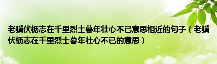 老骥伏枥志在千里烈士暮年壮心不已意思相近的句子（老骥伏枥志在千里烈士暮年壮心不已的意思）