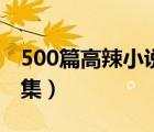 500篇高辣小说全集下载（500篇高辣小说全集）