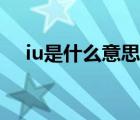 iu是什么意思中文名字（iu是什么意思）