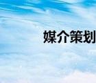 媒介策划擅长什么（媒介策划）