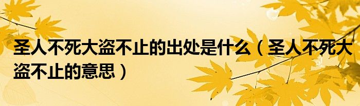 圣人不死大盗不止的出处是什么（圣人不死大盗不止的意思）