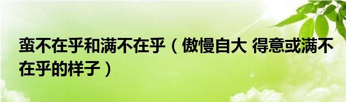 蛮不在乎和满不在乎（傲慢自大 得意或满不在乎的样子）