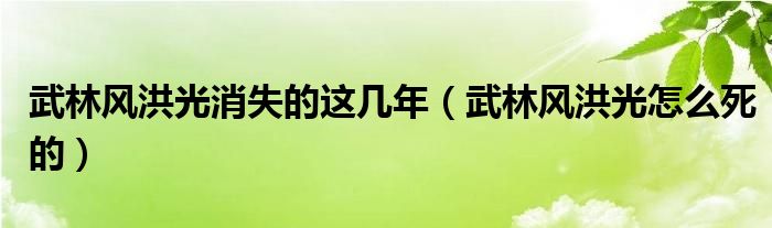 武林风洪光消失的这几年（武林风洪光怎么死的）