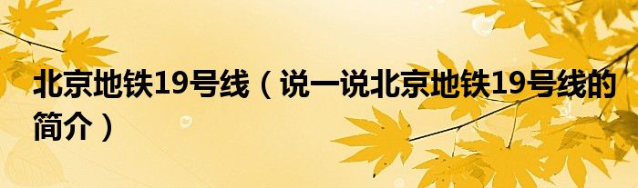 北京地铁19号线（说一说北京地铁19号线的简介）