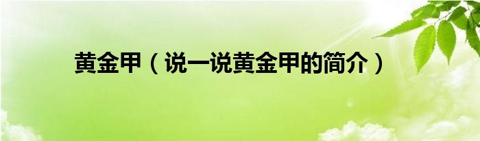 黄金甲（说一说黄金甲的简介）