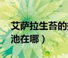 艾萨拉生苔的提箱（WOW 艾萨拉的海潮之池在哪）