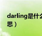 darling是什么意思中文（darling是什么意思）