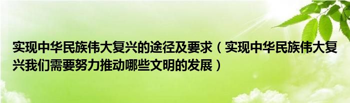 实现中华民族伟大复兴的途径及要求（实现中华民族伟大复兴我们需要努力推动哪些文明的发展）