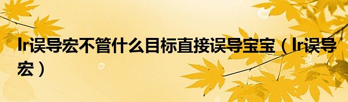 lr误导宏不管什么目标直接误导宝宝（lr误导宏）