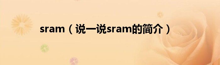 sram（说一说sram的简介）