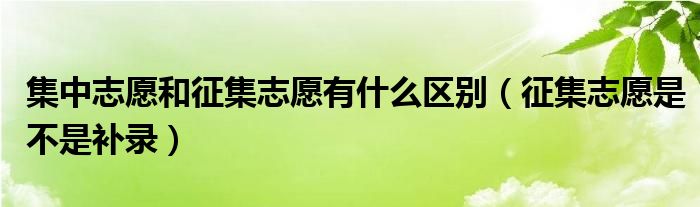 集中志愿和征集志愿有什么区别（征集志愿是不是补录）