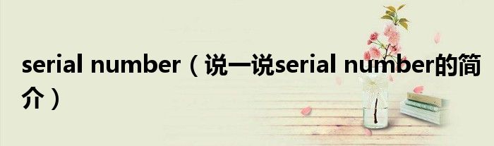 serial number（说一说serial number的简介）