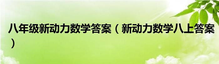 八年级新动力数学答案（新动力数学八上答案）